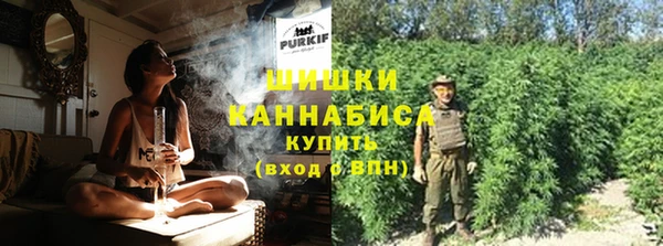 дурь Богородицк