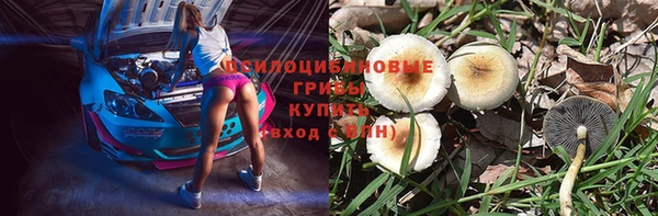 меф Богданович