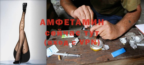 дурь Богородицк