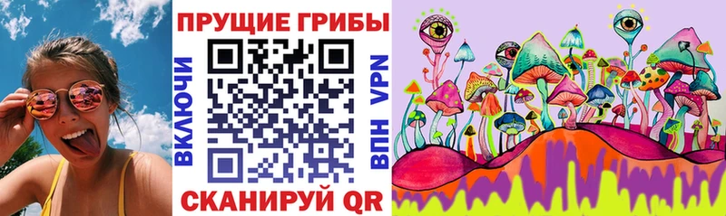 Купить закладки  Гай  Псилоцибиновые грибы Cubensis 